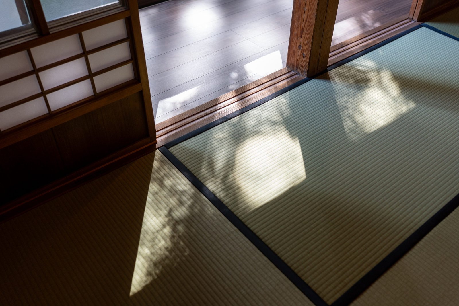 縁側からの光が落ちる、畳の間