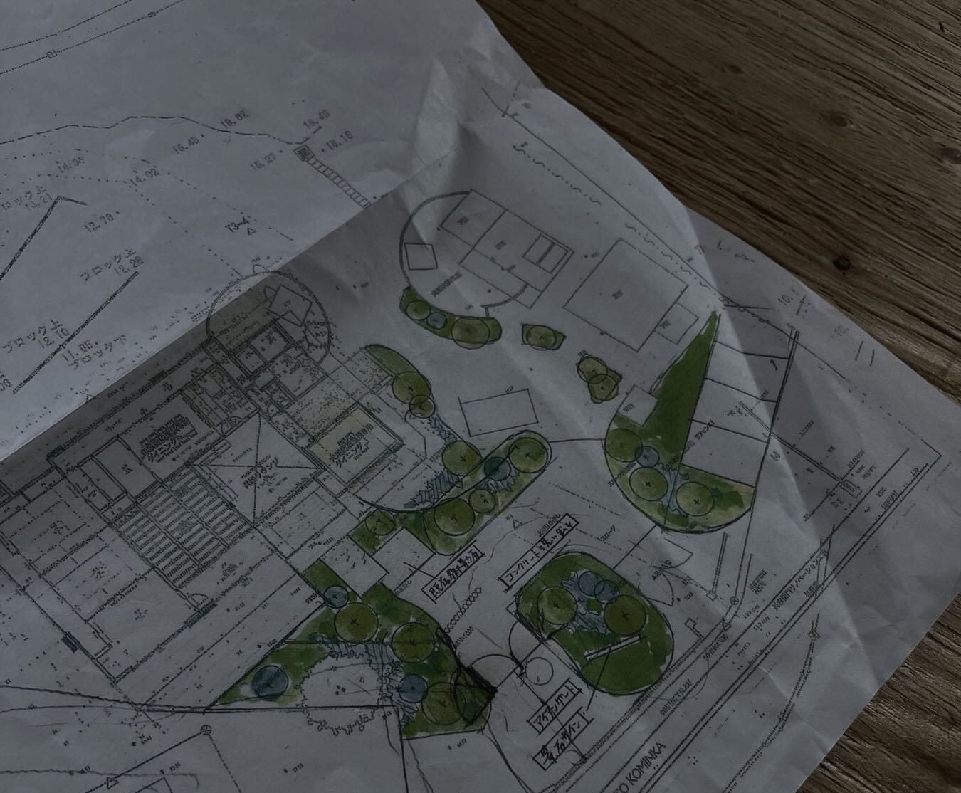 庭と建物の配置を描いた再生計画の図面
